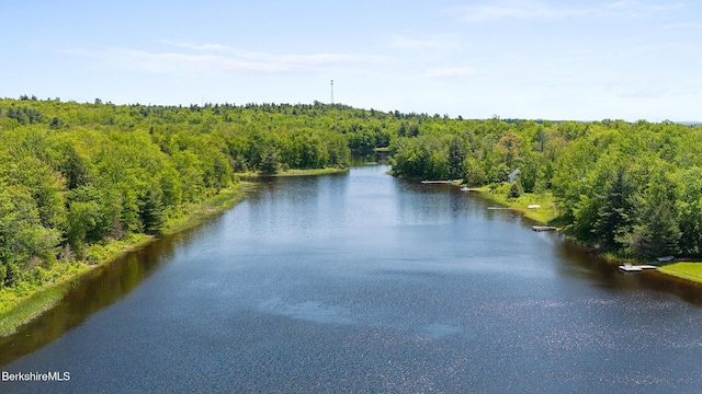 312 E Long Bow Ln, Becket, MA 01223 - water view with a forest