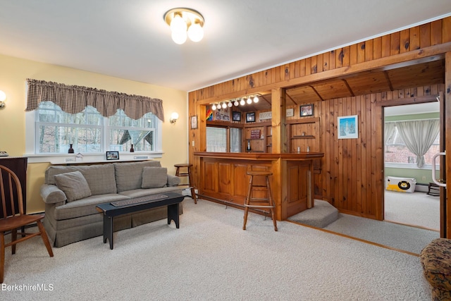 carpeted living room with wood walls and bar