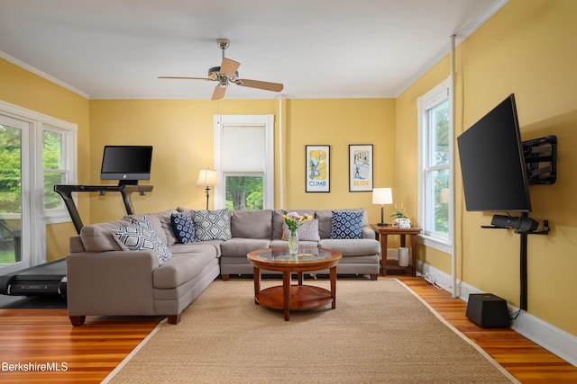 163 Cole Ave, Williamstown, MA 01267 - living room featuring wood finished floors, healthy amount of natural light, ornamental molding, and ceiling fan