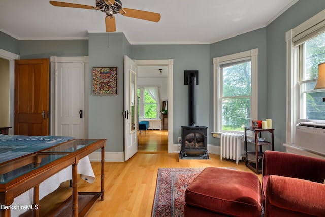 163 Cole Ave, Williamstown, MA 01267 - living room with radiator heating unit, a wood stove, light wood-style floors, healthy amount of natural light, and ornamental molding