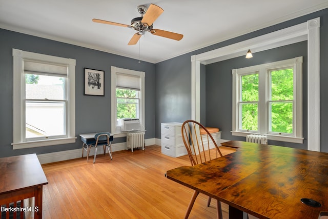 163 Cole Ave, Williamstown, MA 01267 - office area with radiator heating unit, light wood-type flooring, plenty of natural light, a ceiling fan, and crown molding