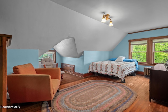 163 Cole Ave, Williamstown, MA 01267 - bedroom with vaulted ceiling, multiple windows, radiator heating unit, and wood finished floors