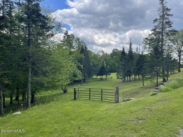 1130 Main Rd, Savoy, MA 01256 - photo 1