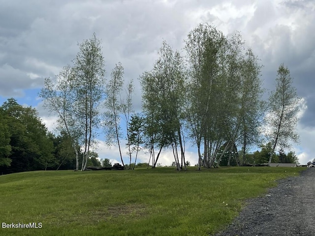 1130 Main Rd, Savoy, MA 01256 - photo 16