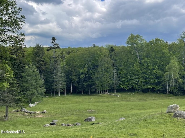 1130 Main Rd, Savoy, MA 01256 - photo 9