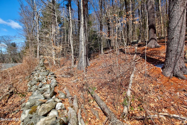 0 Tyringham Rd, Otis, MA 01253