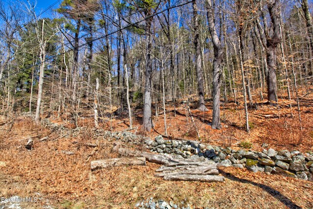 0 Tyringham Rd, Otis, MA 01253