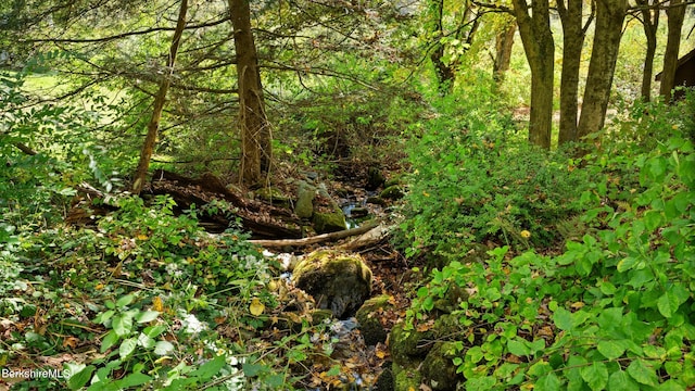 view of landscape