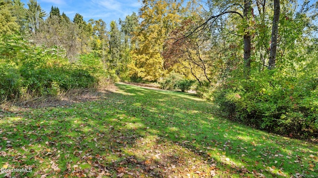 view of landscape