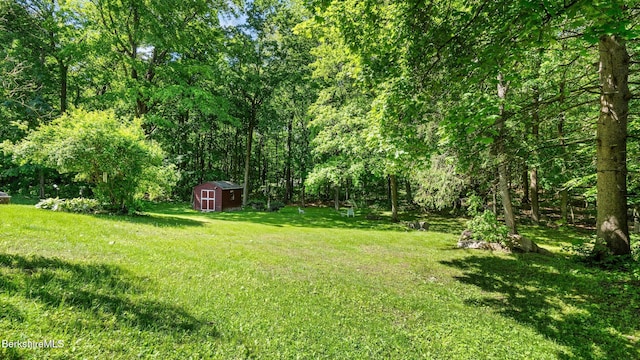 204 Cottage St, Great Barrington, MA 01236 - view of grassy yard