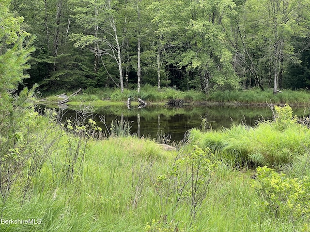 218-179-1- Bonny Rigg Hill Rd, Becket, MA 01223