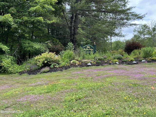 218-179-1- Bonny Rigg Hill Rd, Becket, MA 01223