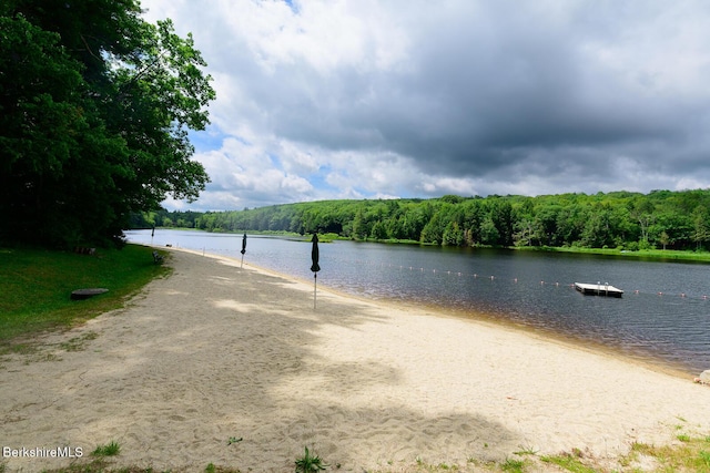 303 Lakeshore Dr, Sandisfield, MA 01255 - water view featuring a forest