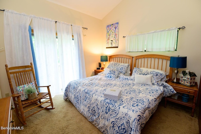 303 Lakeshore Dr, Sandisfield, MA 01255 - bedroom with carpet floors, lofted ceiling, and multiple windows