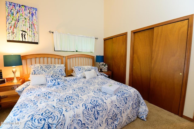 303 Lakeshore Dr, Sandisfield, MA 01255 - bedroom with carpet floors and two closets