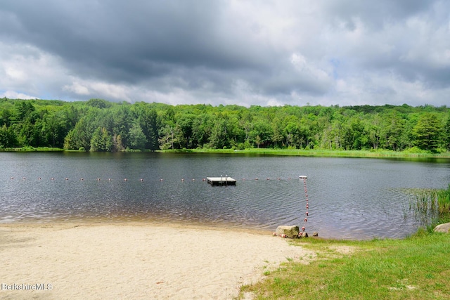 303 Lakeshore Dr, Sandisfield, MA 01255 - water view with a forest