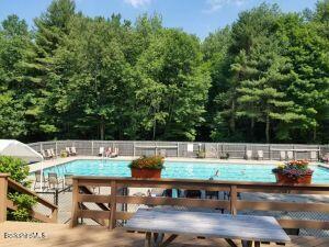 303 Lakeshore Dr, Sandisfield, MA 01255 - view of community pool