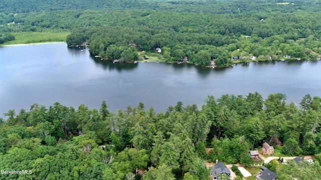 26 Pine St, New Marlborough, MA 01230 - photo 3