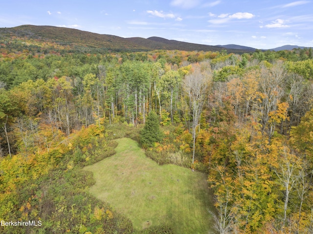 LOT301 Cascade St, Pittsfield MA, 01201 land for sale