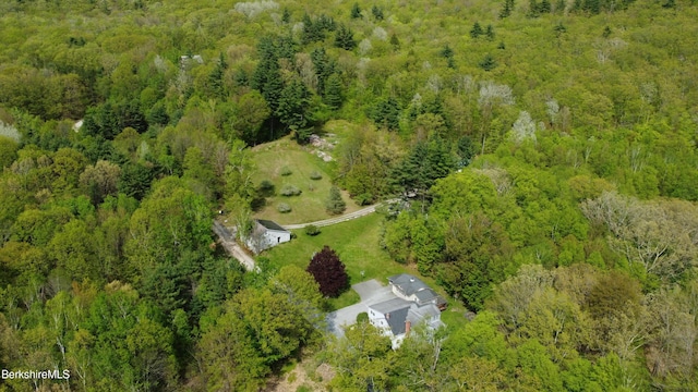 924 Henderson Rd, Williamstown, MA 01267 - view of subject property with a forest