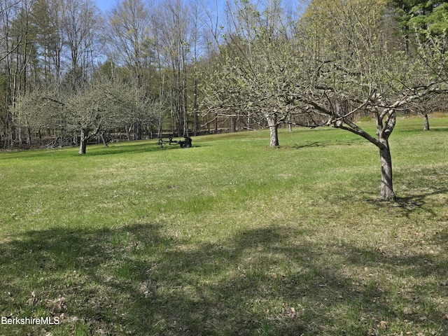 924 Henderson Rd, Williamstown, MA 01267 - view of grassy yard