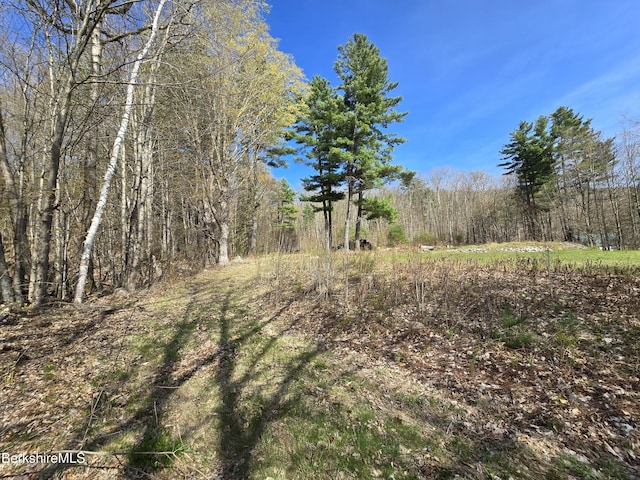 924 Henderson Rd, Williamstown, MA 01267 - view of woods