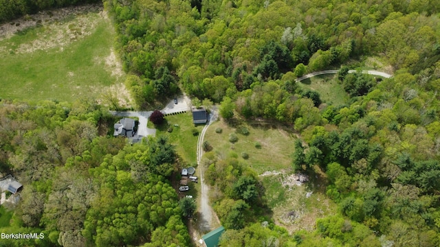 924 Henderson Rd, Williamstown, MA 01267 - view of property location with a forest