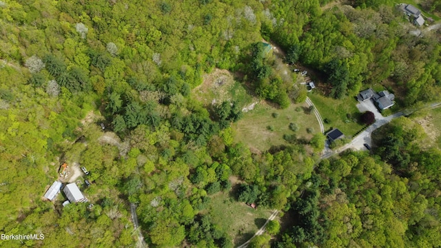 924 Henderson Rd, Williamstown, MA 01267 - aerial view of property and surrounding area