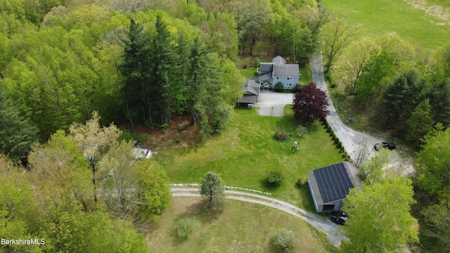 924 Henderson Rd, Williamstown, MA 01267 - view of subject property with a forest