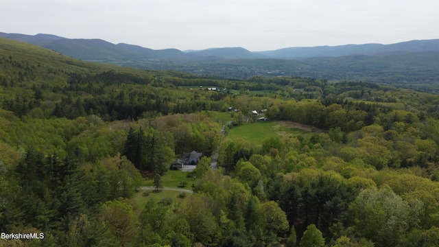 924 Henderson Rd, Williamstown, MA 01267 - aerial view of property's location with a forest and mountains