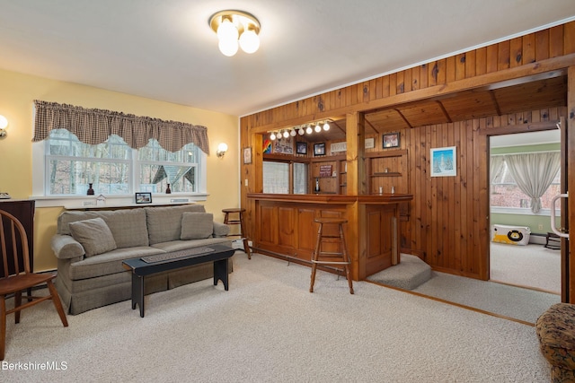 924 Henderson Rd, Williamstown, MA 01267 - living area featuring carpet floors, wood walls, bar area, and a baseboard heating unit