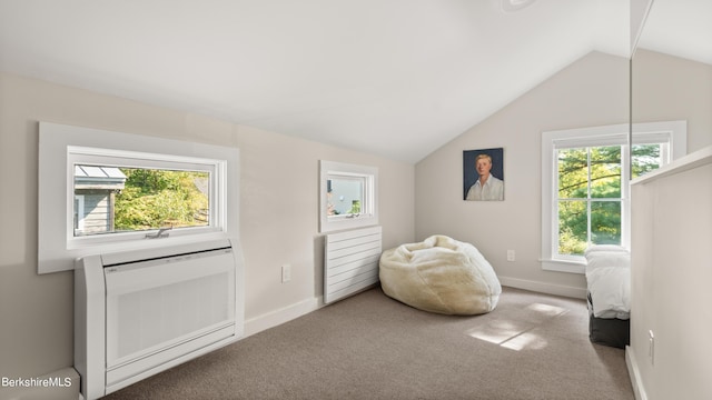 sitting room featuring heating unit, carpet, and vaulted ceiling