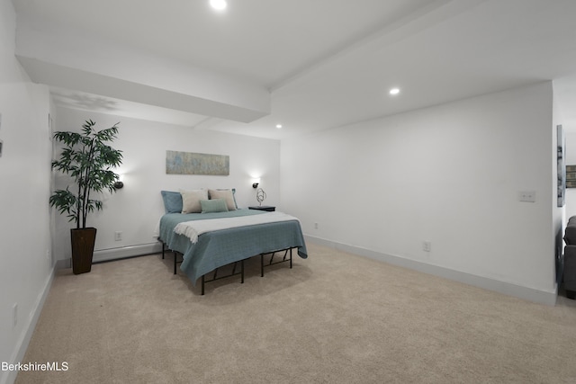 55 Revilla Ter, Pittsfield, MA 01201 - photo 46