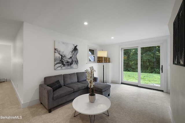 55 Revilla Ter, Pittsfield, MA 01201 - photo 41