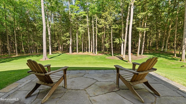 232 Giberson Rd, Sheffield, MA 01257 - view of patio / terrace