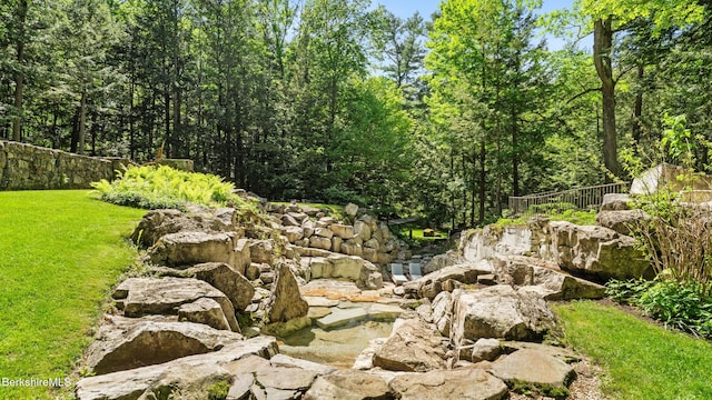 232 Giberson Rd, Sheffield, MA 01257 - view of yard