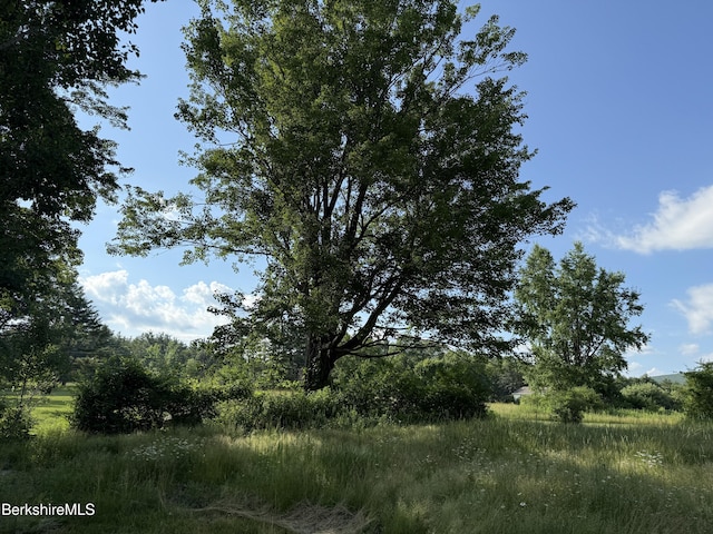 462 Henderson Rd, Williamstown, MA 01267 - photo 9