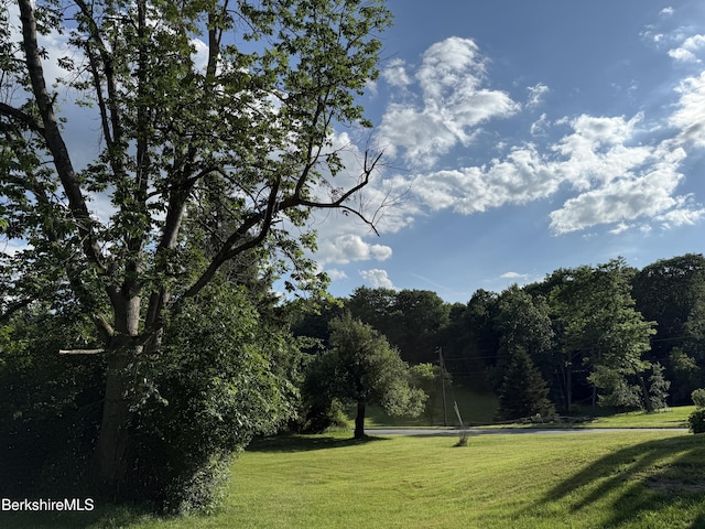 462 Henderson Rd, Williamstown, MA 01267 - photo 5