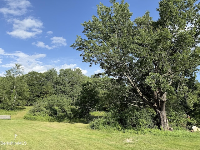462 Henderson Rd, Williamstown, MA 01267 - photo 12