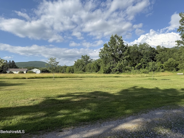 462 Henderson Rd, Williamstown, MA 01267 - photo 2