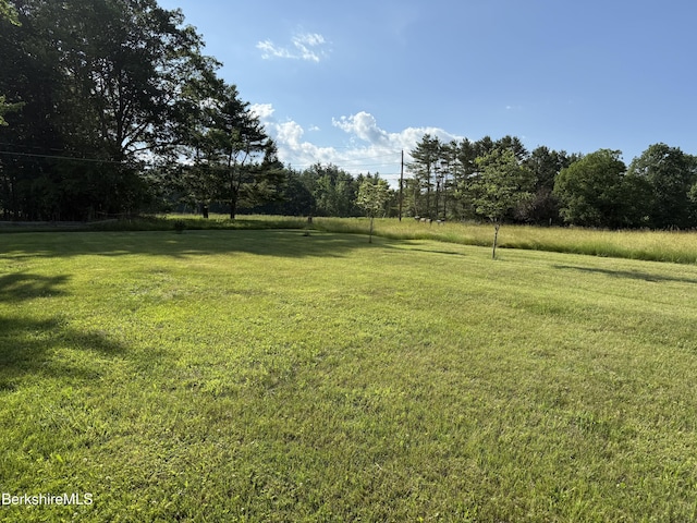 462 Henderson Rd, Williamstown, MA 01267 - photo 11