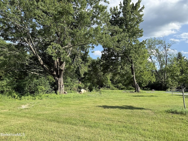 462 Henderson Rd, Williamstown, MA 01267 - photo 14