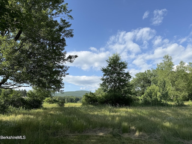 462 Henderson Rd, Williamstown, MA 01267 - photo 8