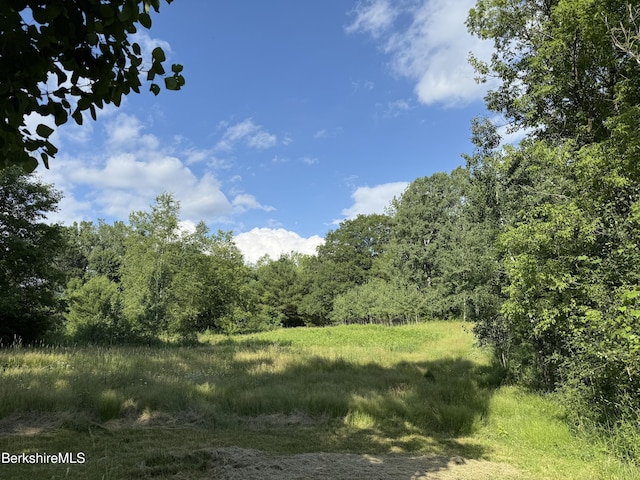 462 Henderson Rd, Williamstown, MA 01267 - photo 7