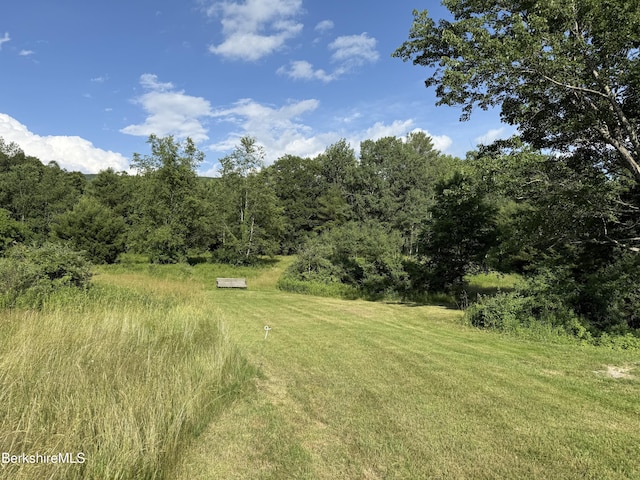 462 Henderson Rd, Williamstown, MA 01267 - photo 13