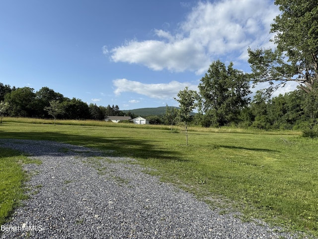 462 Henderson Rd, Williamstown, MA 01267 - photo 4