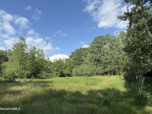 462 Henderson Rd, Williamstown, MA 01267 - photo 10