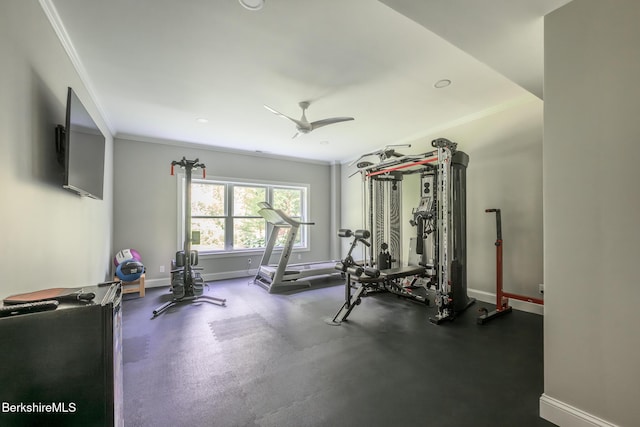 560 Mallard Ln, Lee, MA 01238 - photo 51