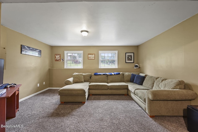 927 Holmes Rd, Pittsfield, MA 01201 - living room featuring carpet floors and baseboards