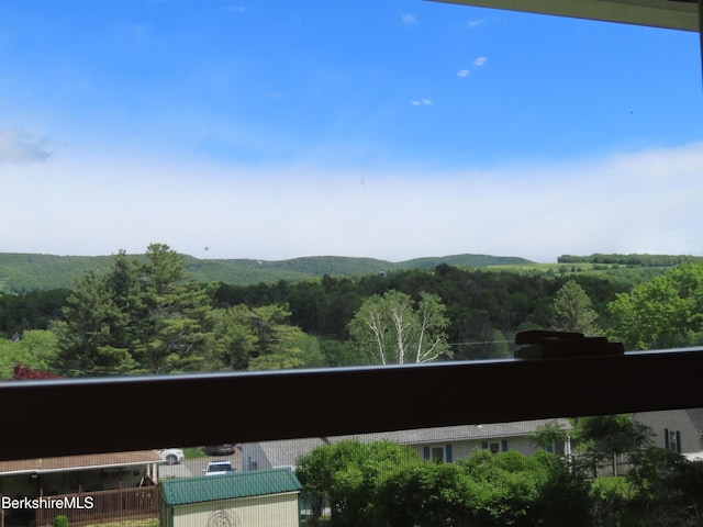 19 Grandview Ter, Adams, MA 01220 - view of mountain background featuring a forest